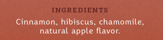 Stash Tea Cinnamon Apple Tea (6x20 CT)