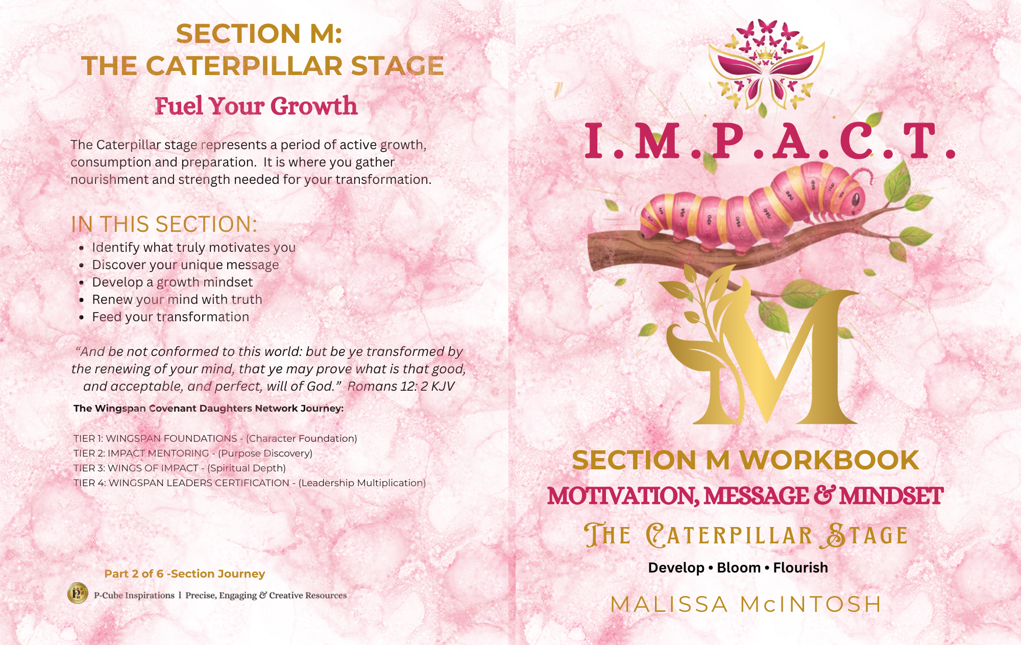 Stage M: Motivation, Message & Mindset - Workbook & Journal (Physical Book)